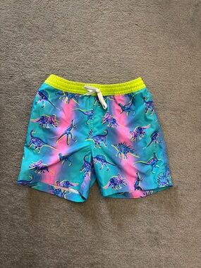 Chubbies Dino Delight Lined Swim Trucks Pink Blue Youth